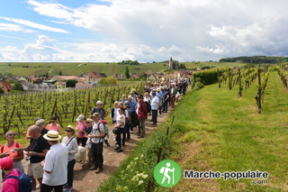 Photo de la marche populaire Marchegourmande.info